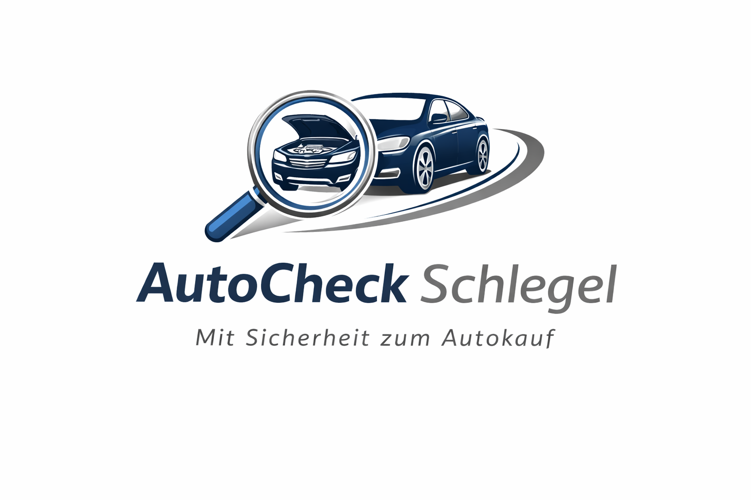 AutoCheck Schlegel